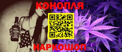 тгк Новозыбков
