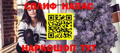 Альфа ПВП Новокубанск