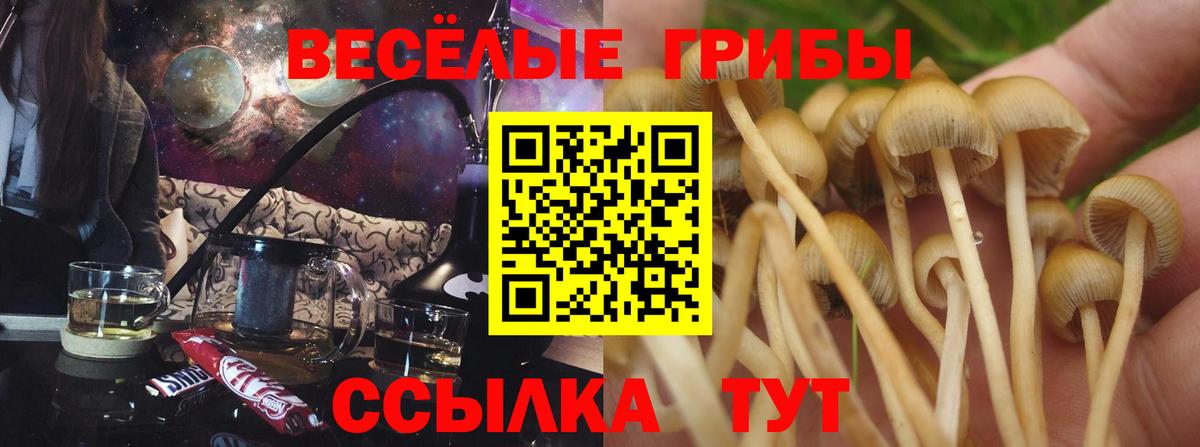 Галлюциногенные грибы мухоморы Евпатория